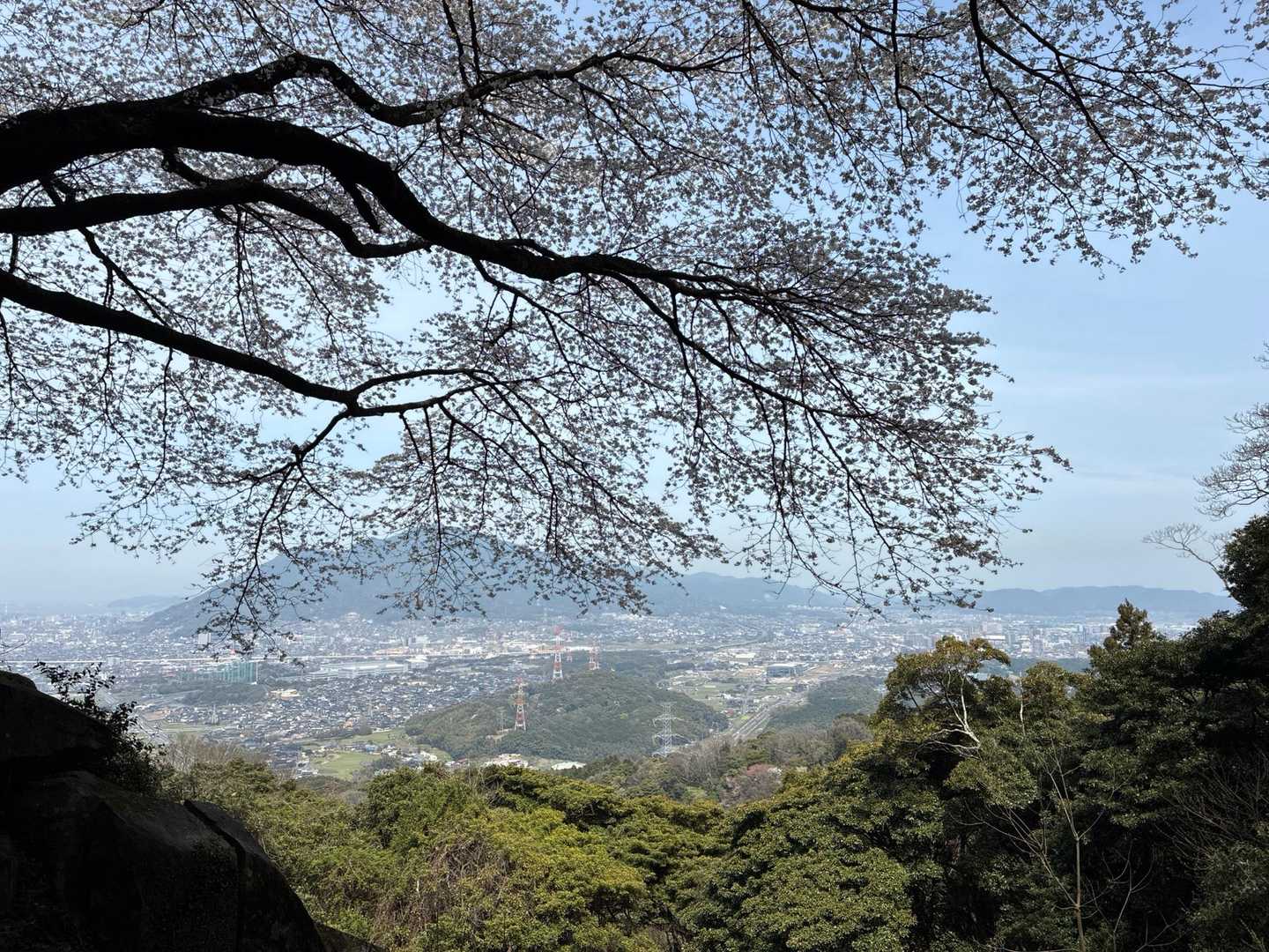 笠岩付近の桜🌸