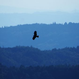 デッキチェアに腰掛けて、ぼーっと景色を眺められる。