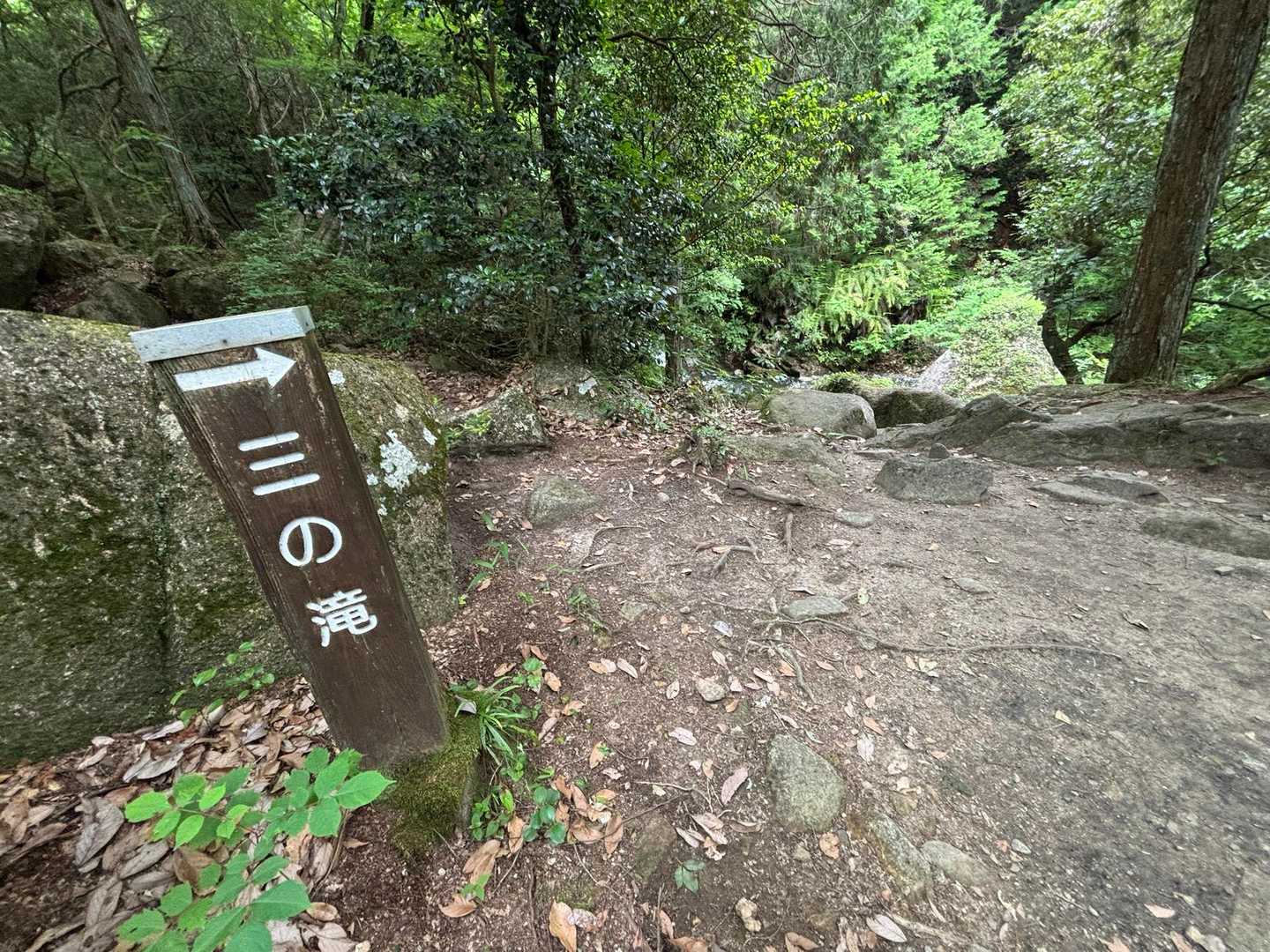 水晶山登山口-水晶山 往復コースの写真