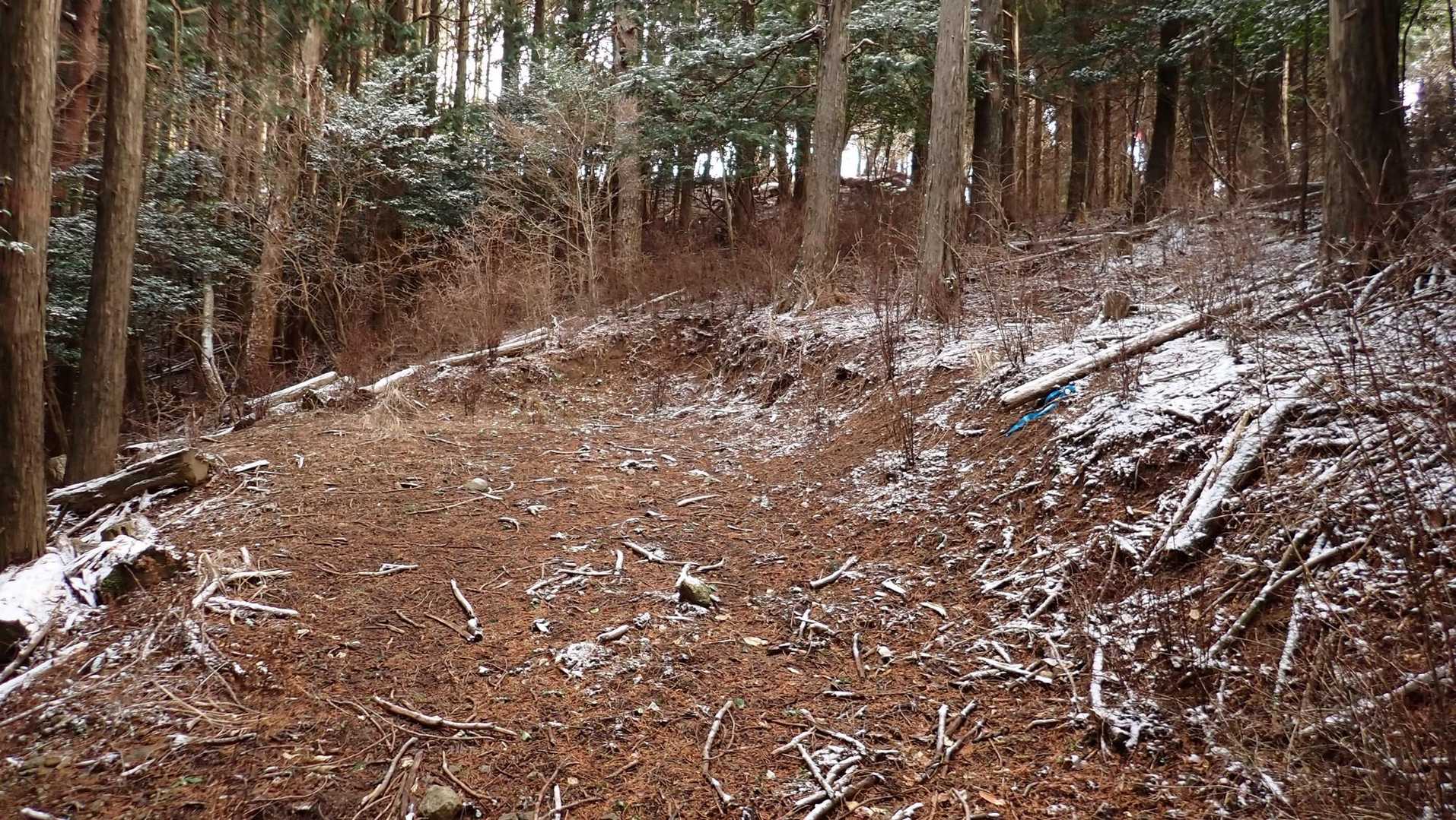 作業道は終点なので山道へ。