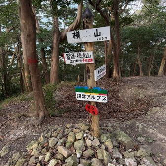 漸く２座目ゲット