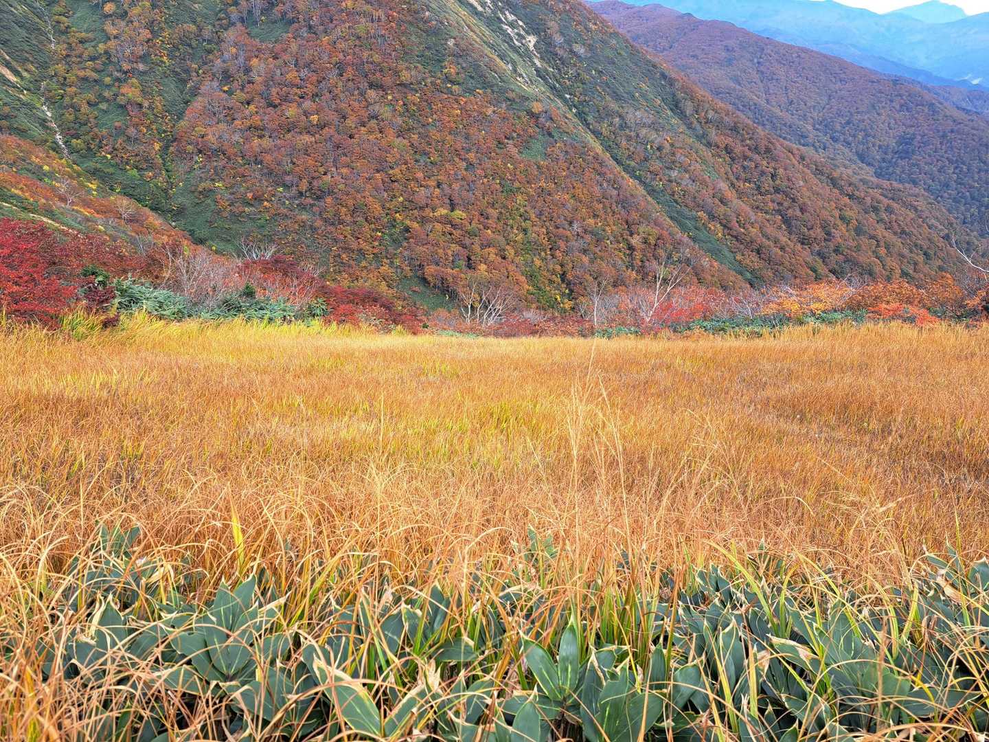 松ノ木沢ノ頭-白毛門-笠ヶ岳 往復コースの写真