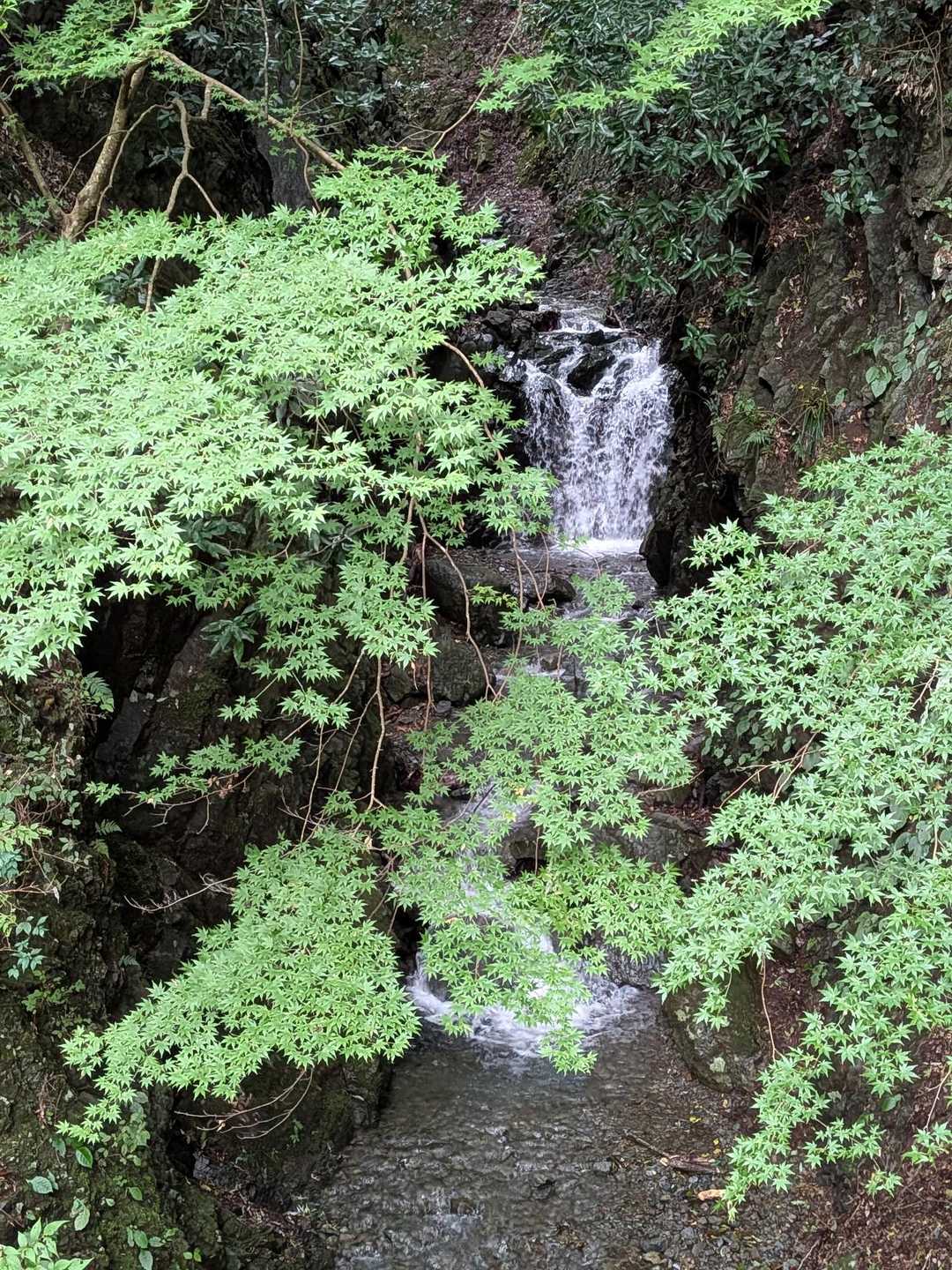 新茅ノ沢
