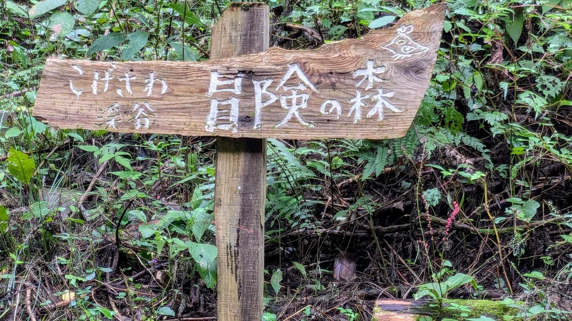 八王子城跡ハイキングコース入口-唐沢山-北高尾富士見台-板 縦走コースの写真