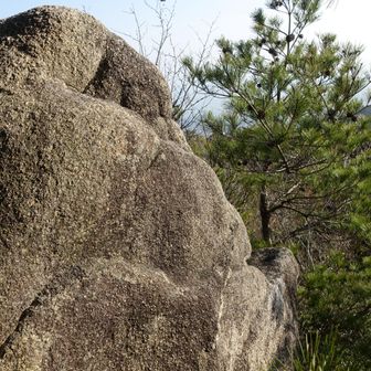 この岩に間違いないのですが🤔