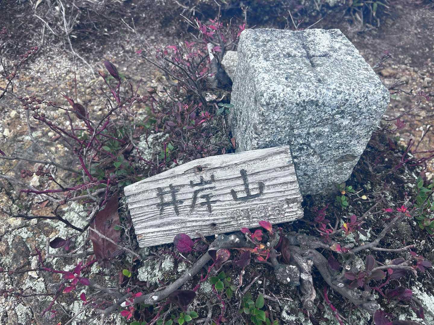 井岸山⛰️