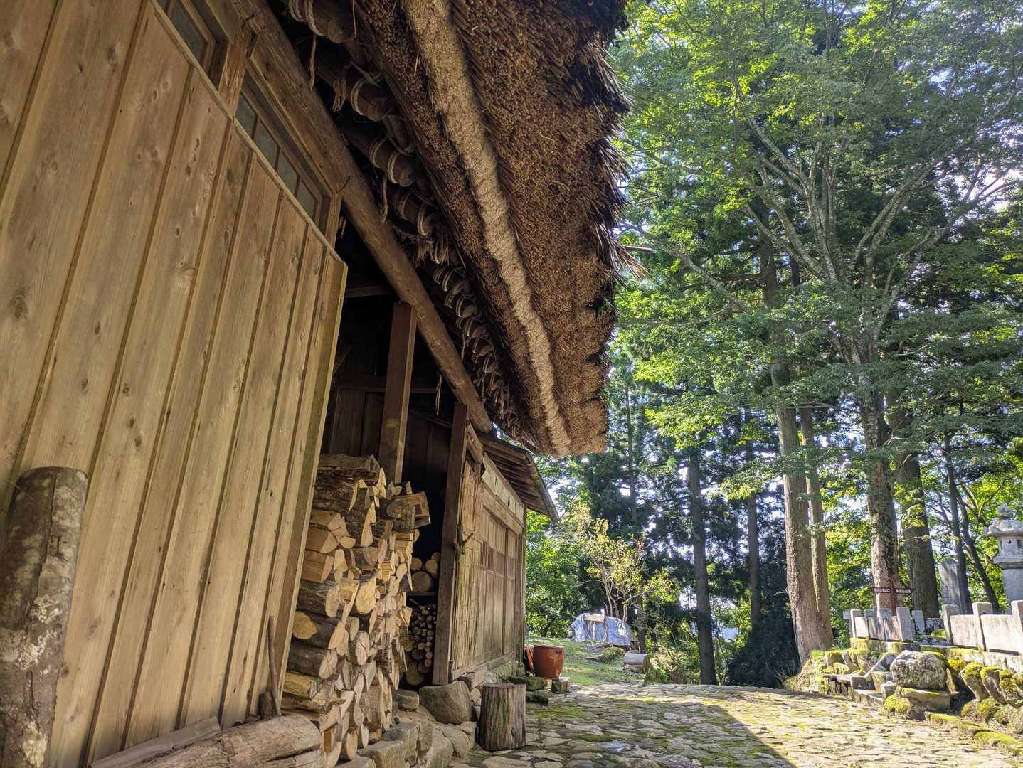 鉢伏山 往復コースの写真