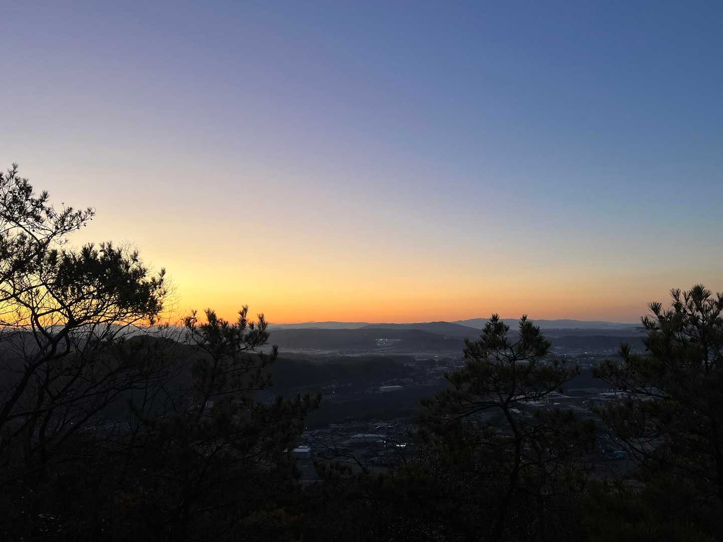 今年も米田白山の尾根は賑わってます😊