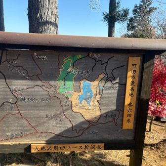 町田市最高地なのね