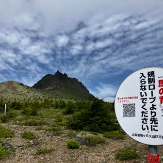 馬の背到着🛬
函館山後で脚出来上がってた

