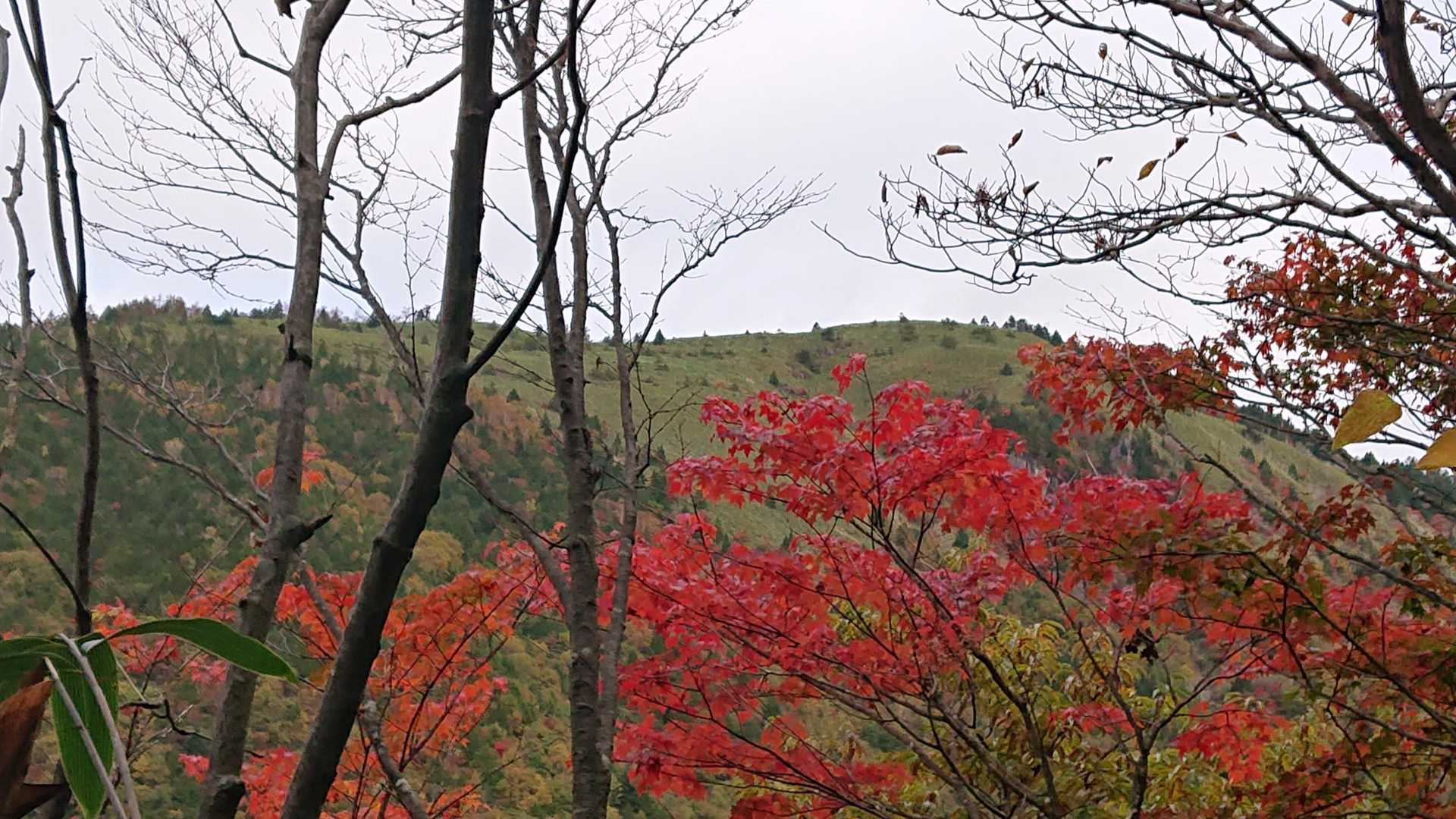 白草山登山口-白草山 周回コースの写真