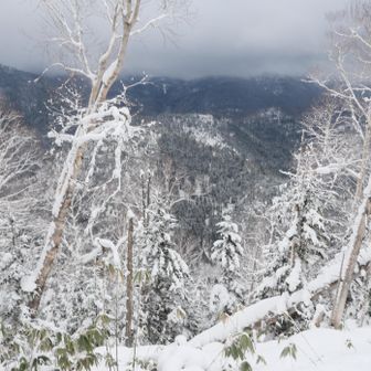 景色はほぼ見えず・・💦