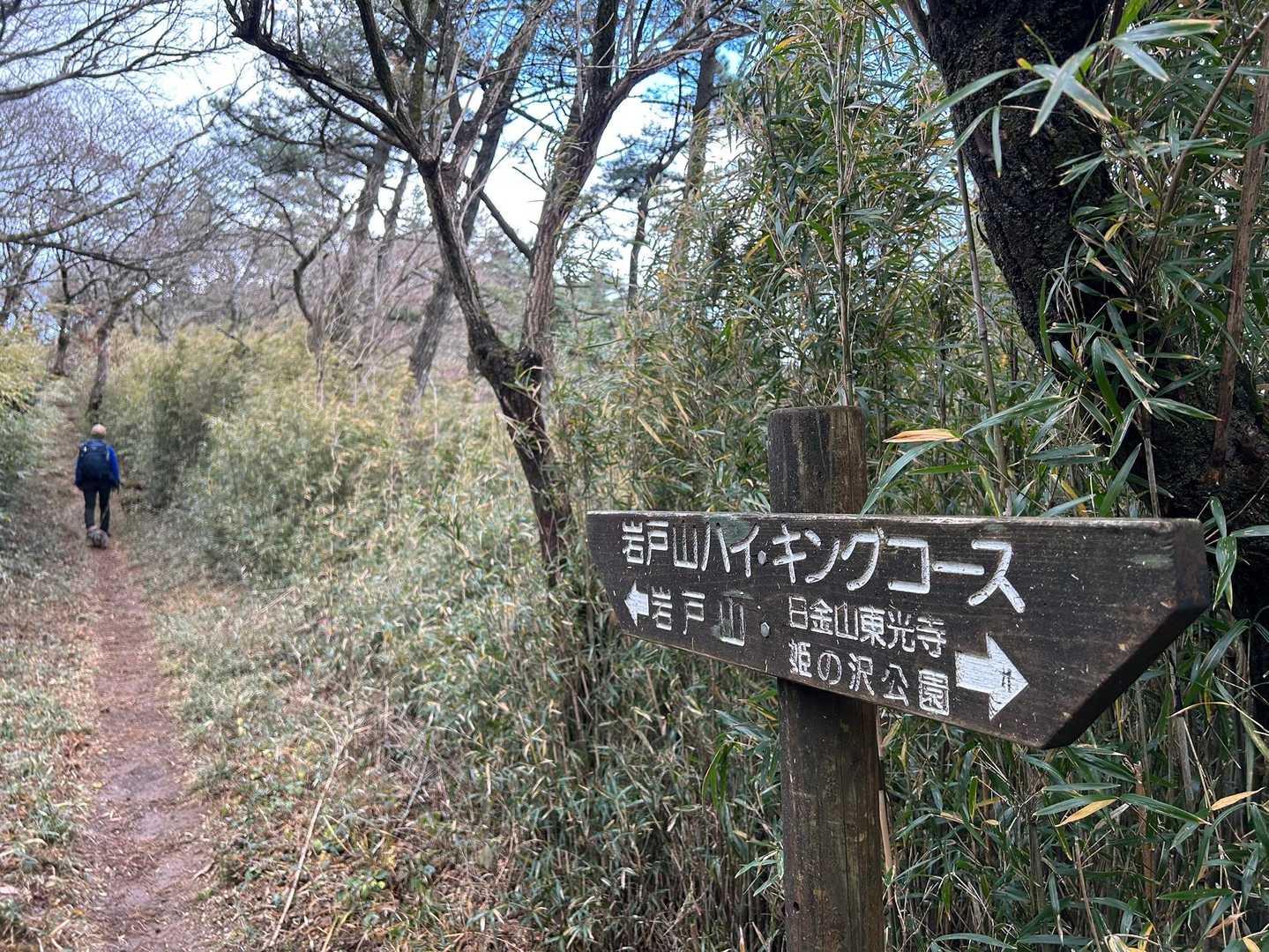 【フラット登山】十国峠から熱海へ　海を正面にひたすら下るの写真