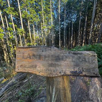 高峰山...755m

いつもはここを東に逸れて

ラニヘッドトレイルに向かいますが

今日はお初、日向和田駅方面へ下っていきます