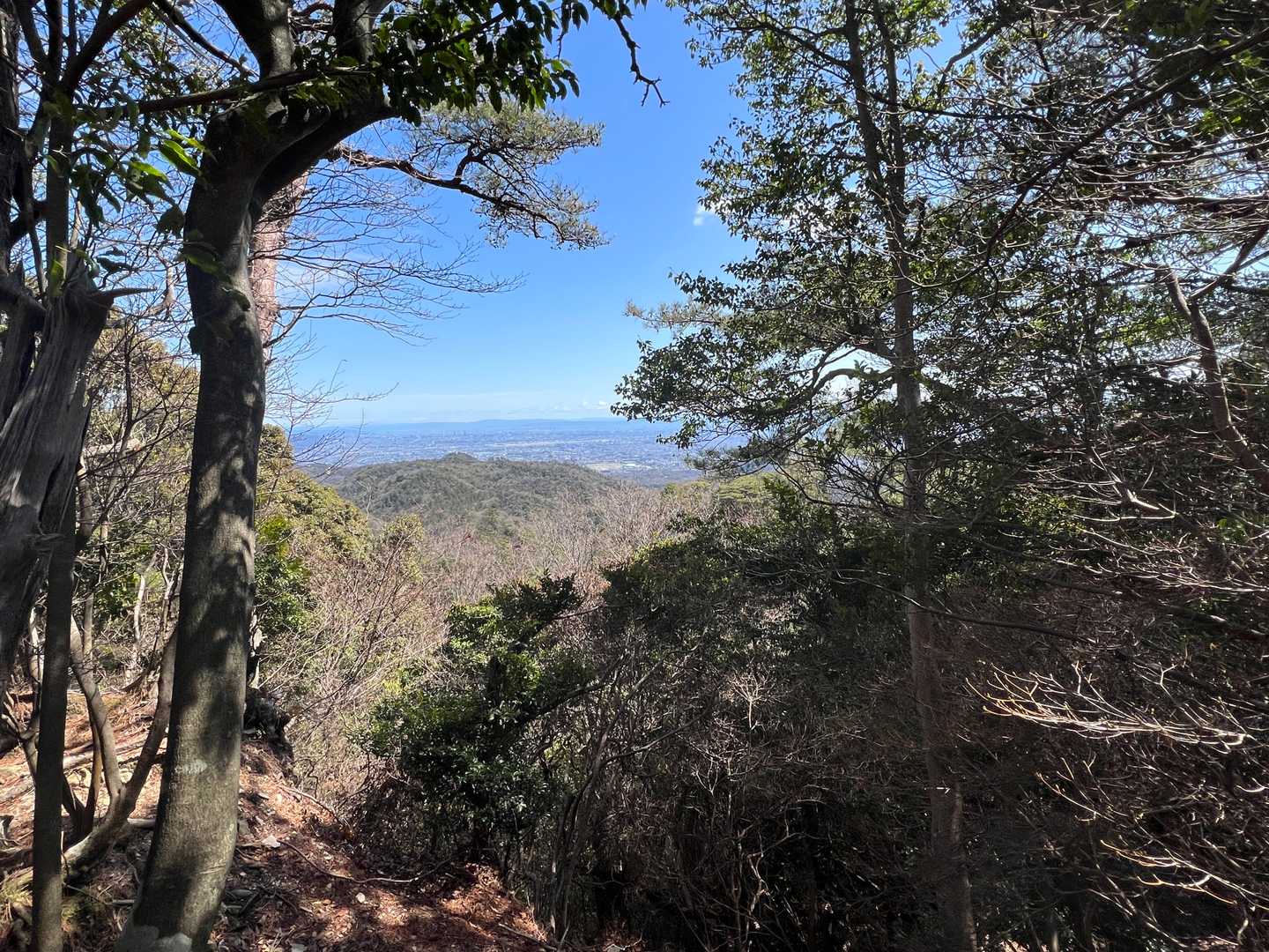 小天狗山山頂から