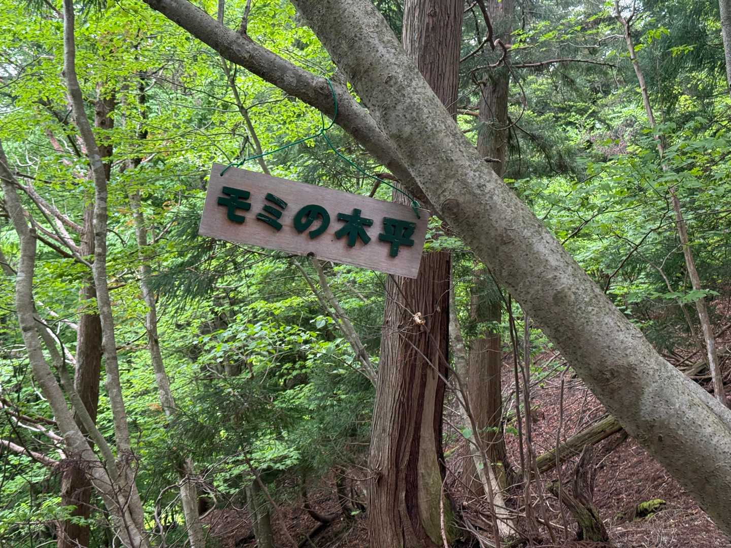 花房山 往復コースの写真