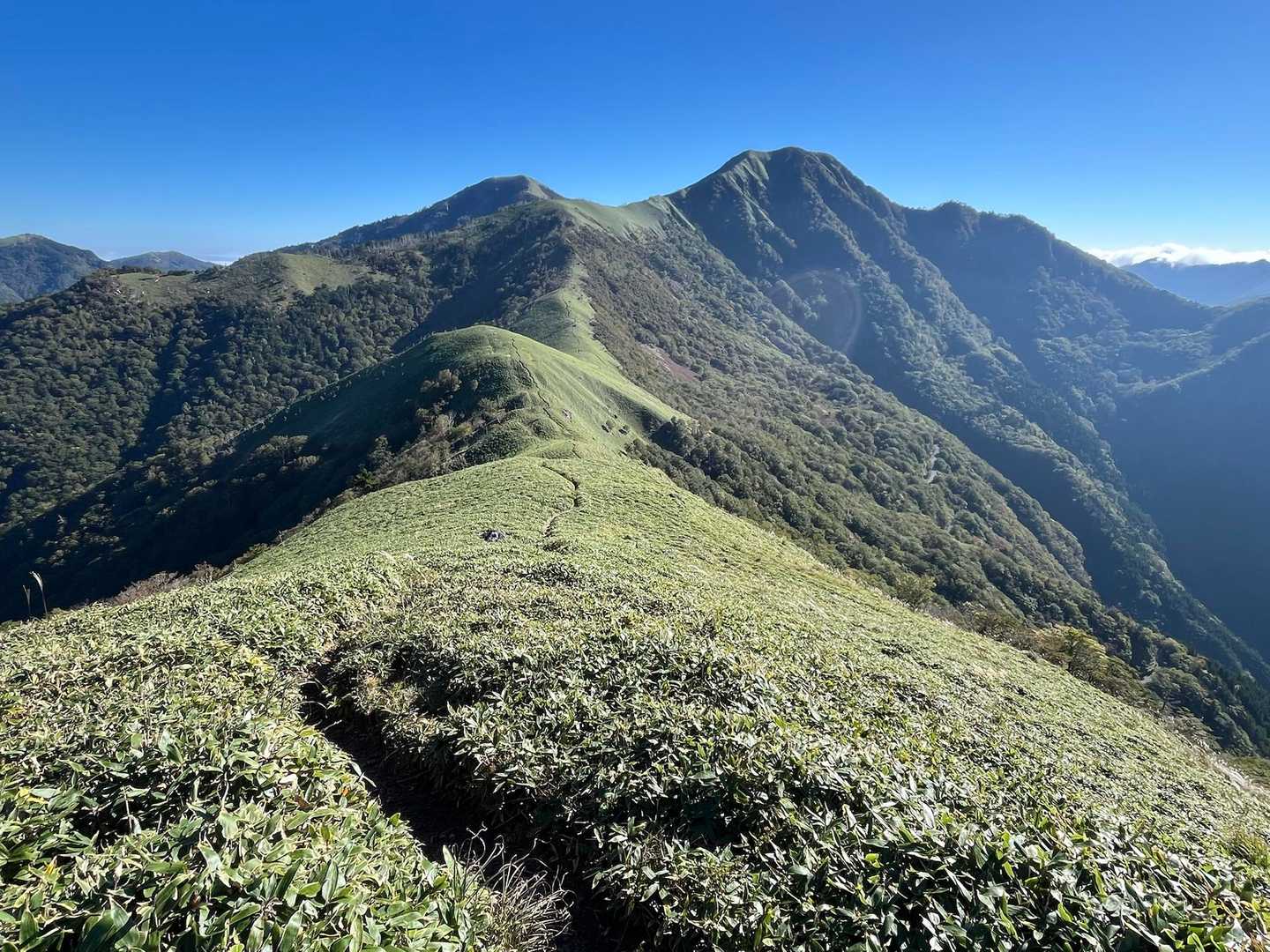 ◼️今回の表紙
歩いて来た笹原の稜線の先には剣山と次郎笈⛰️
このルートを象徴する景色✨