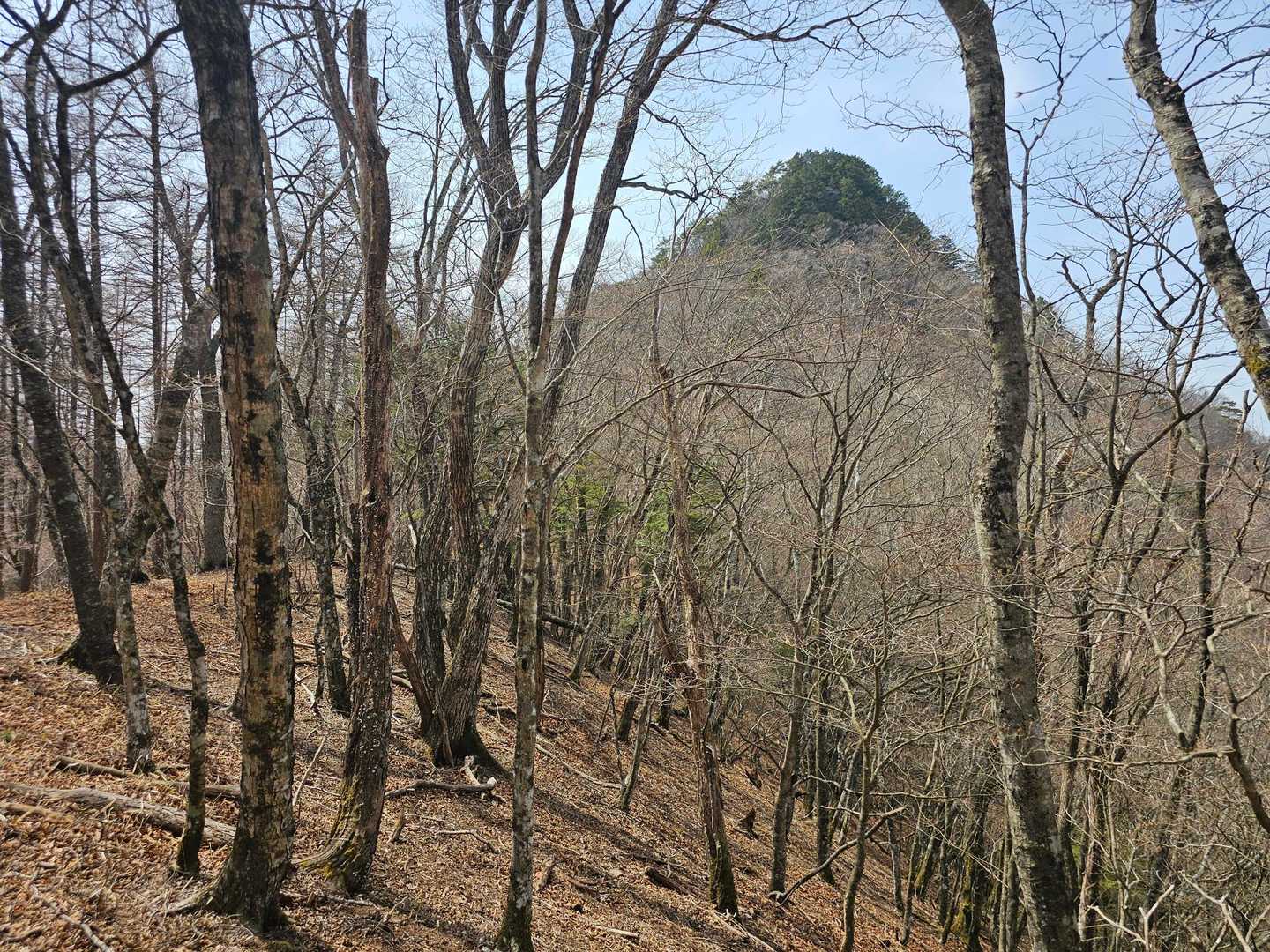 本日のラスボス曲岳のお出まし🦖