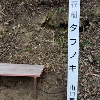 ベンチもありました🙇
こちらでののはなさんと会話🍀タブノキは申請されたらしい👍