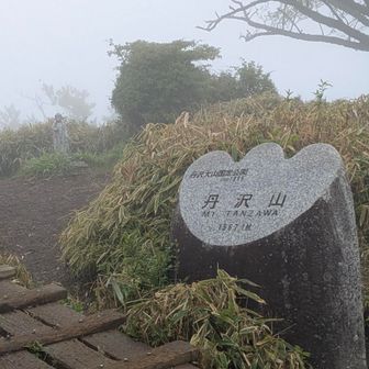 はい、着きました。
曇っているし、そもそも今日は一眼レフカメラを持ってないので、途中の写真は無し。