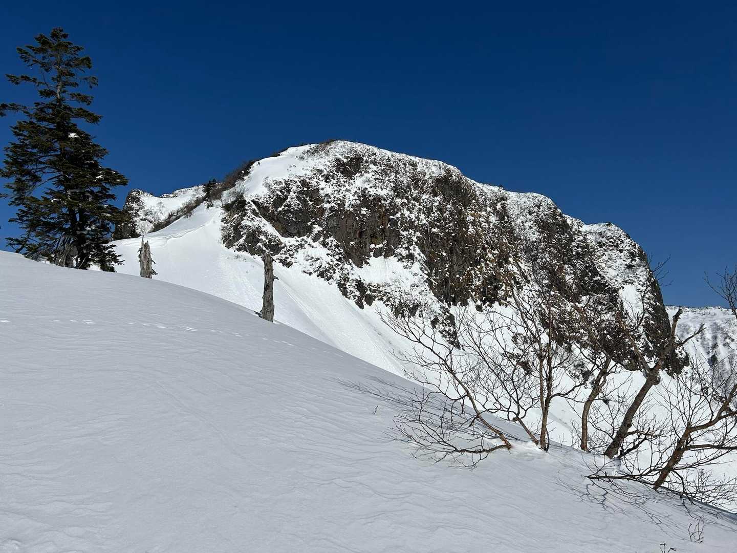 雪はたっぷりモフモフ。