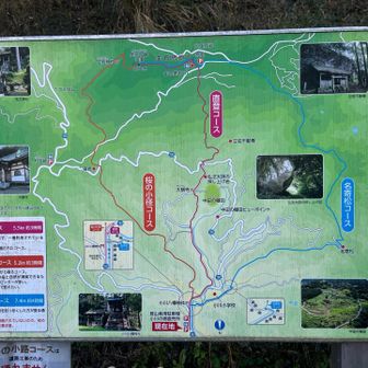 登りは直登コース
下山は桜の小径コース
❗️YAMAPにはないけど、名寄松コースってのもあるんだね😄