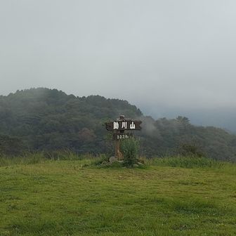 周りは白い
