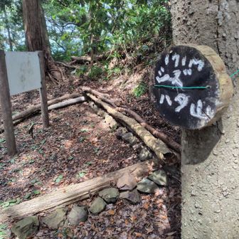 広くてちょっと迷路感のある山頂