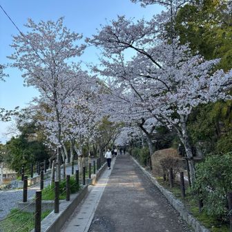 哲学の道シリーズ