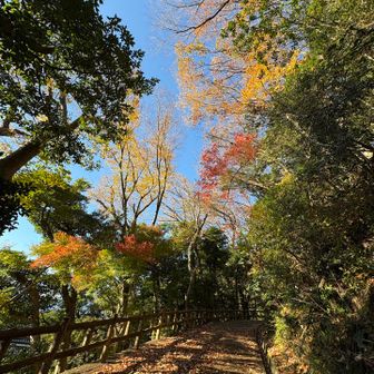 3日ぶりの天筒山