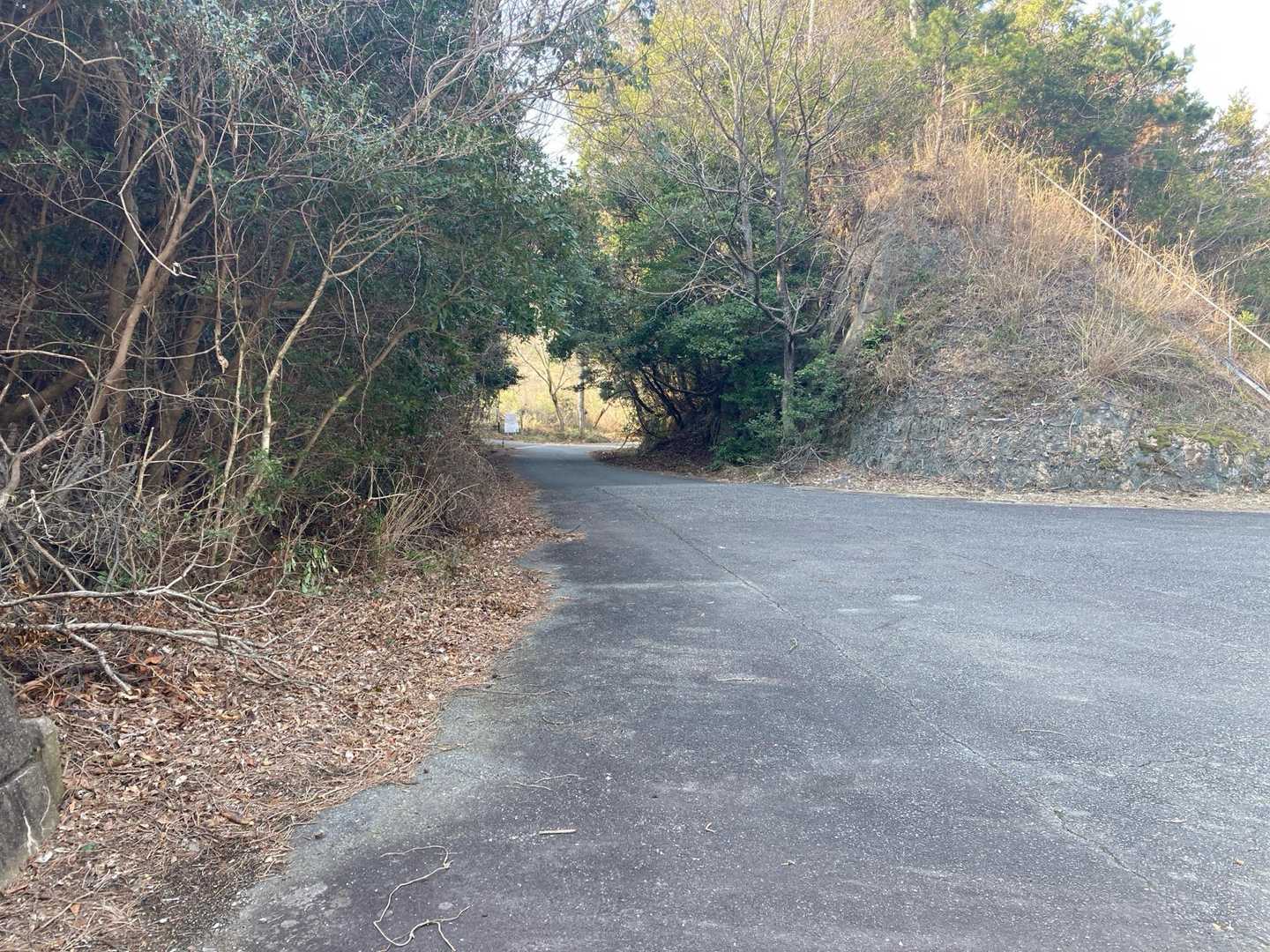 サエガ峠-遠岳山 往復コースの写真