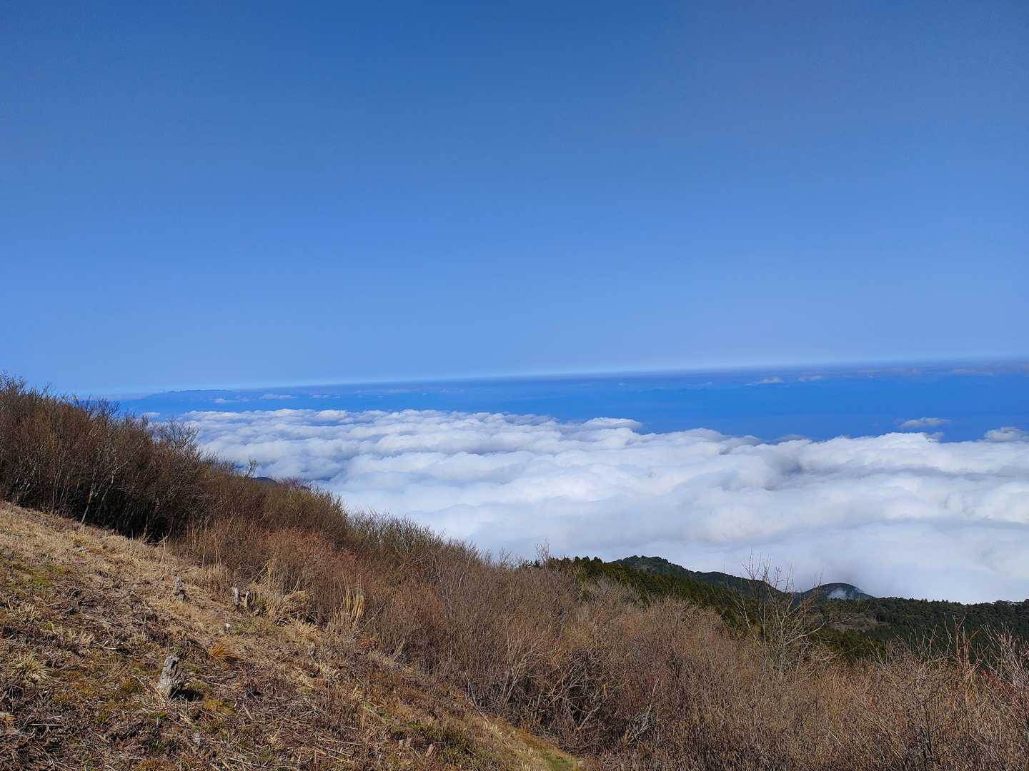 四国中央市も新居浜も雲海の中☁(*˘︶˘*).｡.:*♡