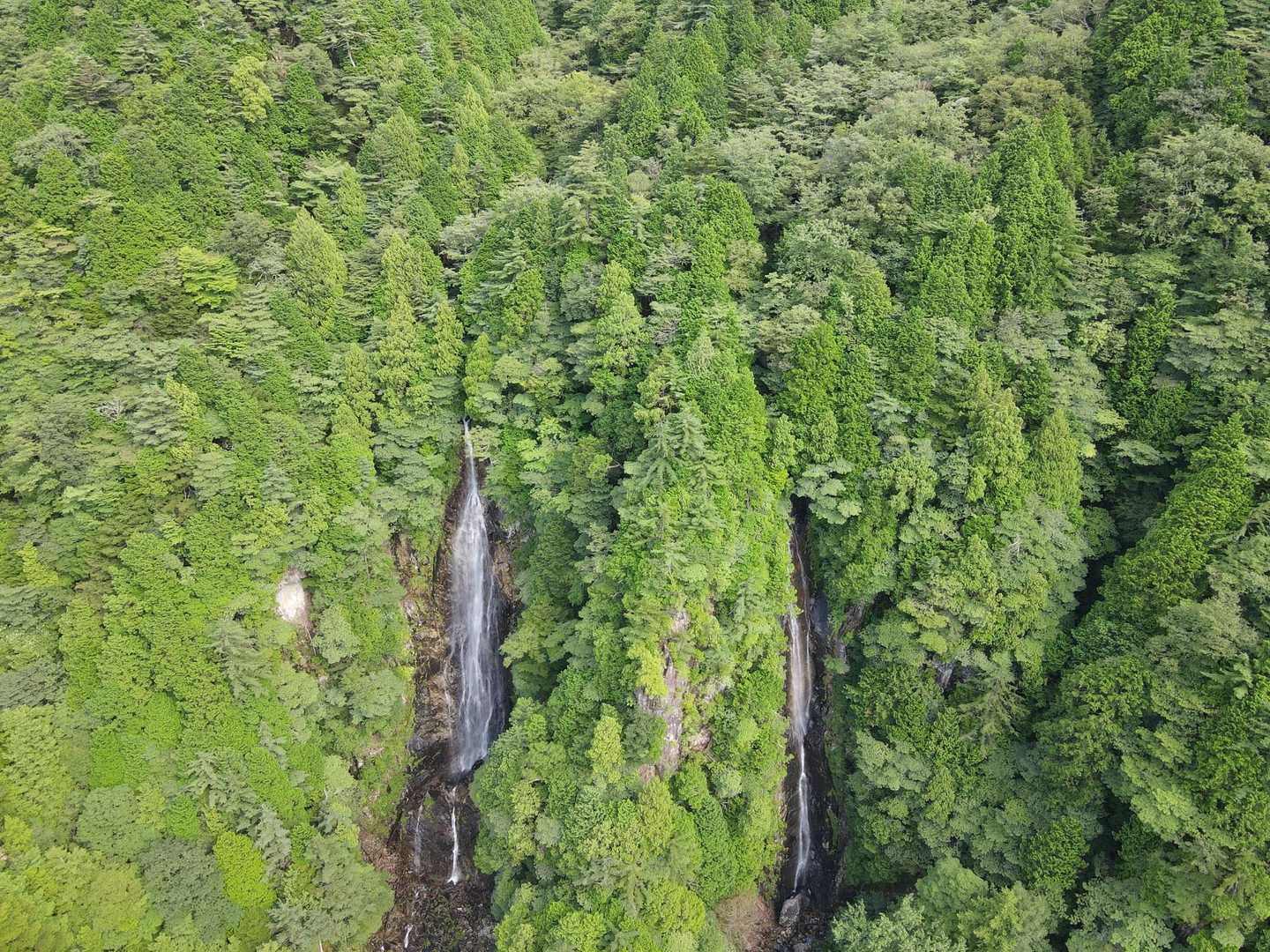 小秀山二の谷登山口-小秀山 往復コースの写真