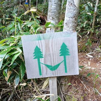 双子池のキャンプ指定地付近にハンモックエリアあり。とても気持ち良さそうでした。