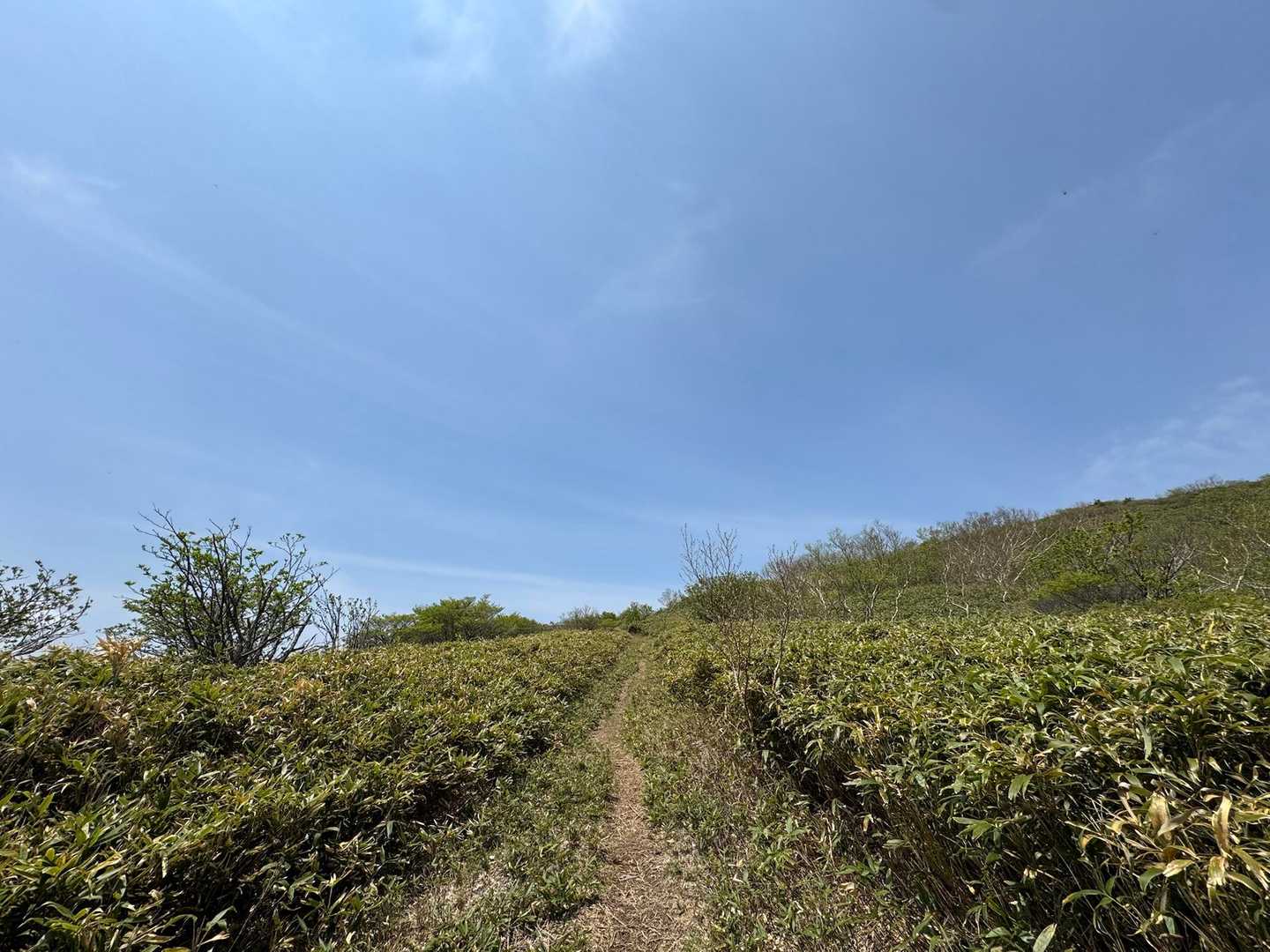 何この雰囲気最高なんですけどー！って独り言🤣