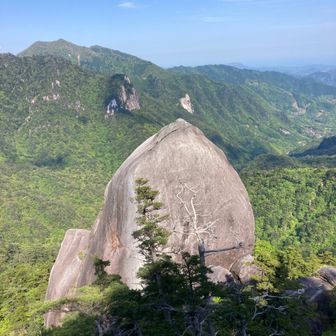 ぐっちゃんごり