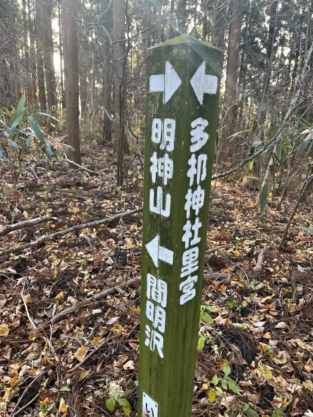 明神山 往復コースの写真