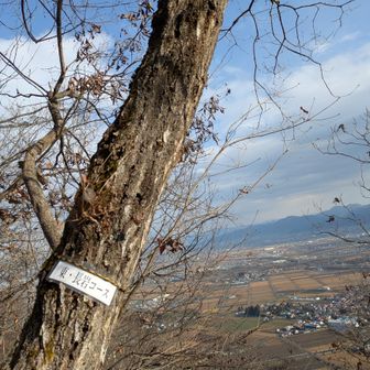 あえて、ハイキング的ではないと言う事で最小限の表示😏