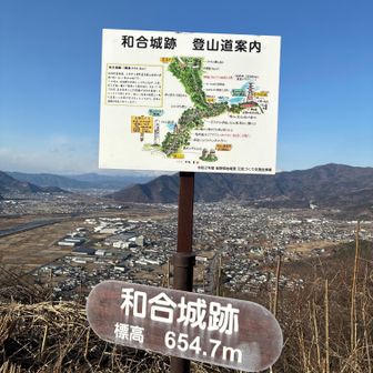 和合城跡🙌 
ここに四等三角点「岩鼻」があるはずだが現在地と地図を見ると今いる平な場所ではなく下の藪の中にあるようなのであっさり諦める。帰宅してから基準点成果等閲覧サービスを見たら設置場所は「山道（急斜面）」とあった（笑）