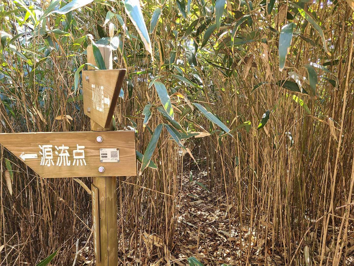 分岐
これから急な登りが始まります。🥵