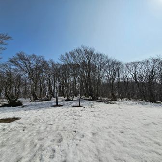 山頂は広々してます。