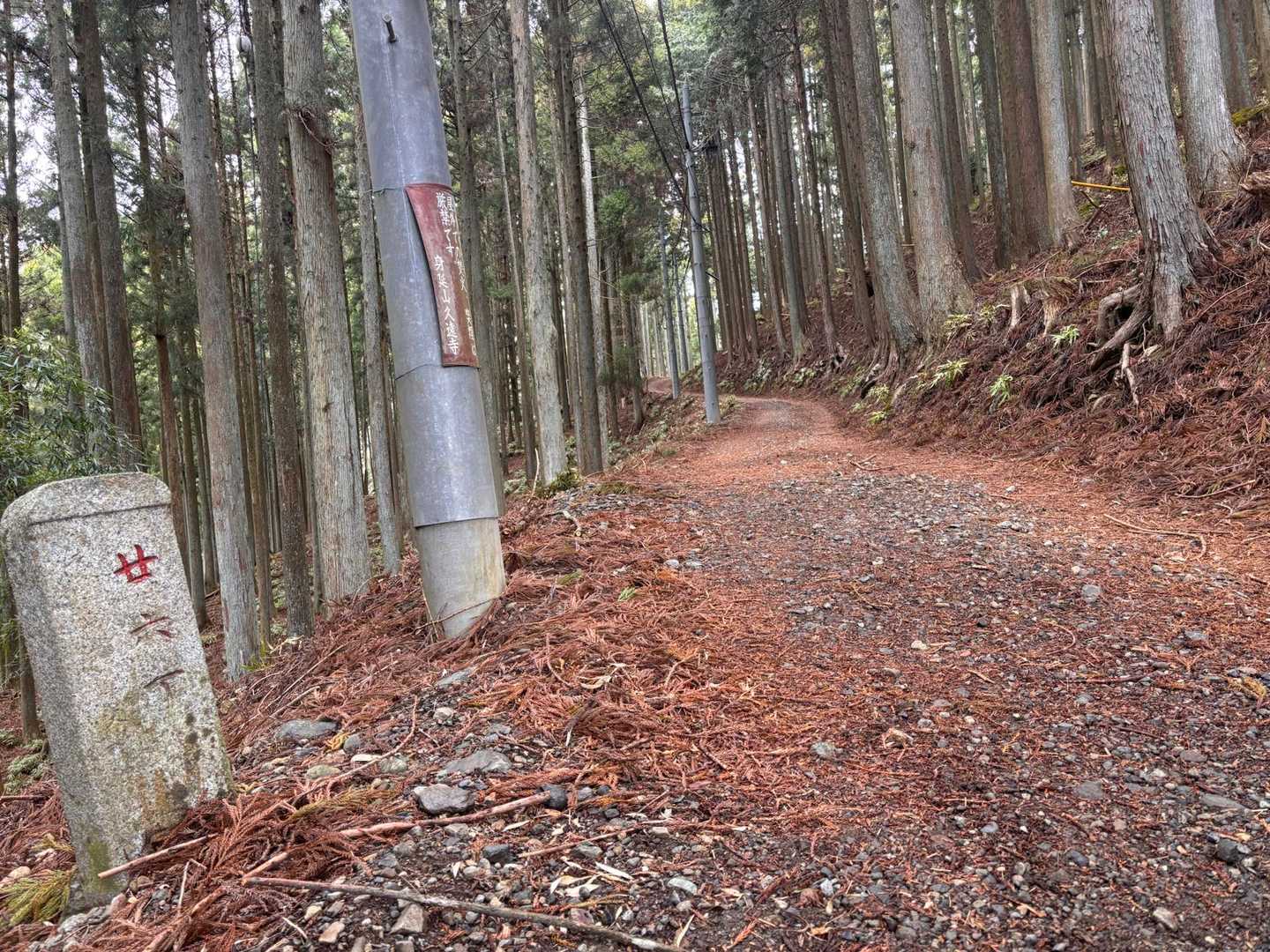 ここから、やっと山道になりました！