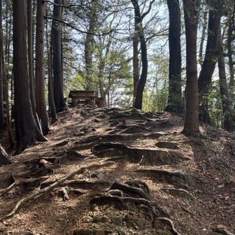 城山(八王子城山)から富士見台まではまあまあ時間がかかり結構疲れました
奥に見えるテーブルでランチタイム
