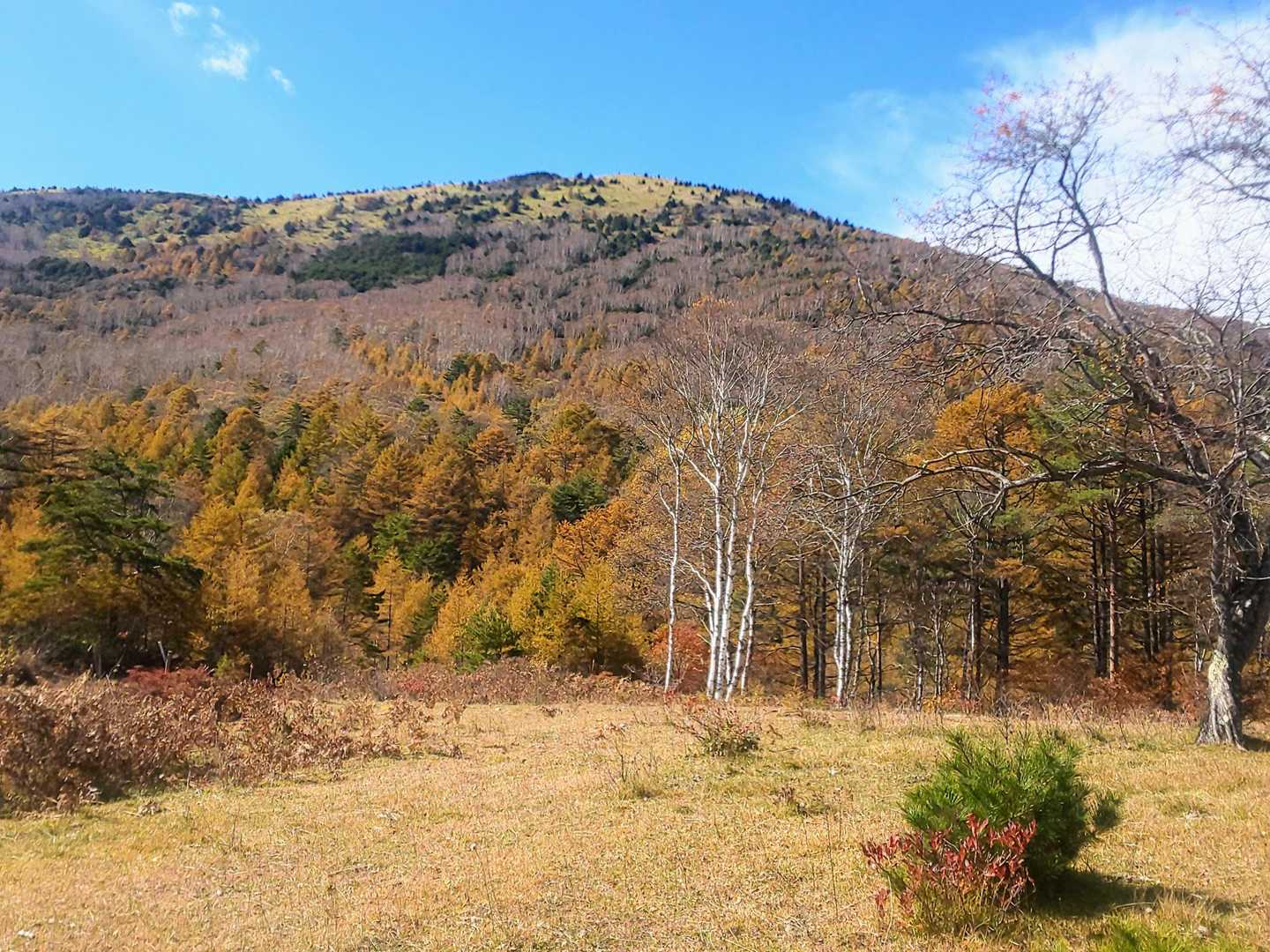 少しばかり歩くと見晴らしの良い場所に😃　湯ノ丸山が大きく見えます。この辺り東屋もあり休憩に便利です👍
