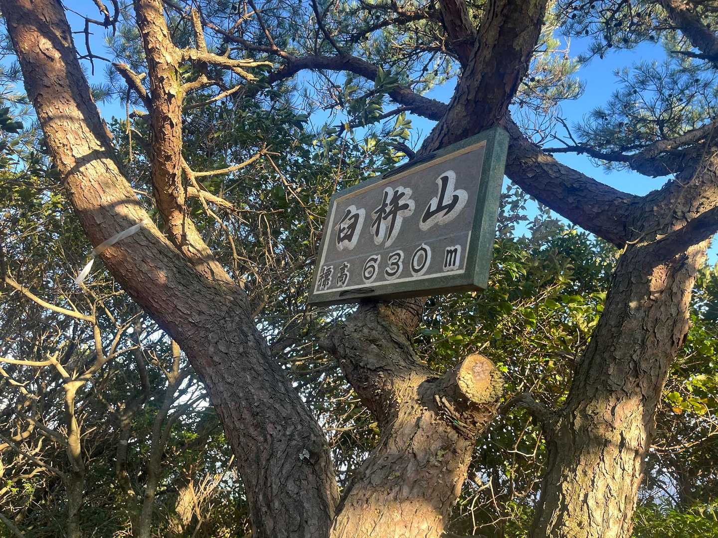 ラストピーク、臼杵山到着  
なんかもう陽がかたむいてきた？
