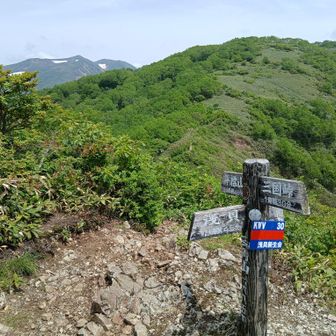三角山に着いた　近くに大源太山､遠くに仙ノ倉山が見える