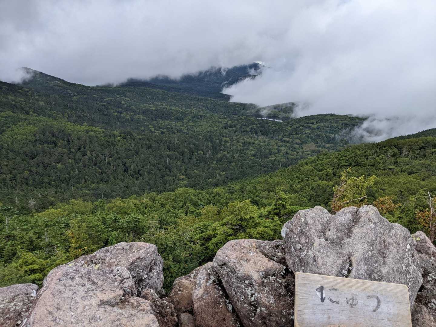 白駒池コース | 苔むした原生林と神秘の水面。北八ヶ岳特有の情景を見下ろす岩峰の写真