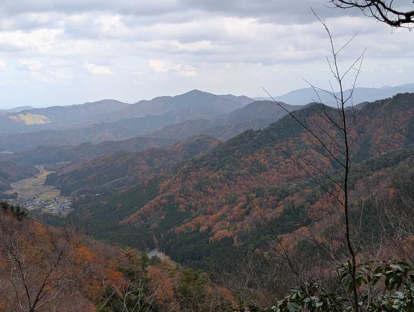 青空だと綺麗に見えると思います🍁