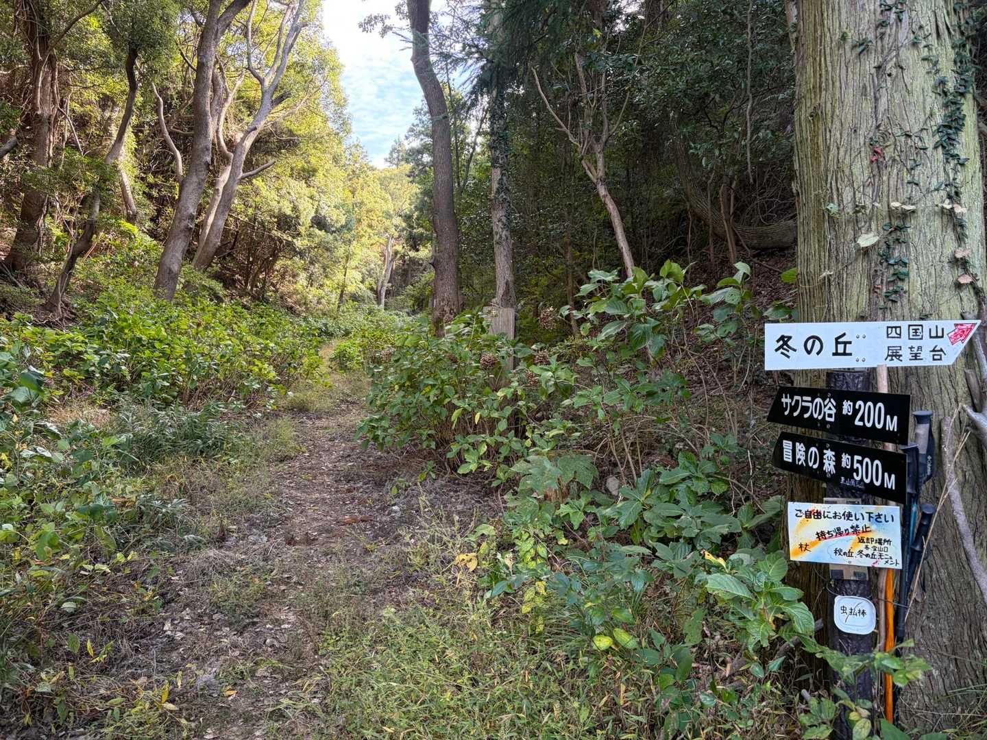 今日は、ここから冬の丘方面
標識の右側にある階段を登って行きました😊