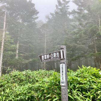 麦草峠駐車場からスタート。